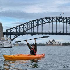 Sails on Lavender Bay User Photo