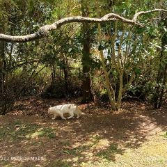 Hayes Common User Photo