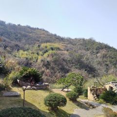兴隆·隆十二境民宿望潮餐厅·台州温岭菜 User Photo