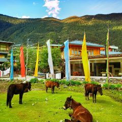 格桑雲浪餐廳張用戶圖片