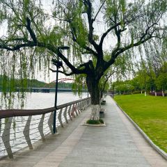 商城賓館自助餐張用戶圖片