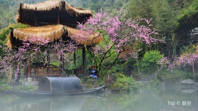 Peach Blossom Viewing in Lushan