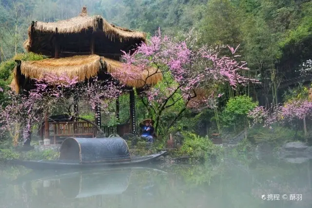 Peach Blossom Viewing in Lushan