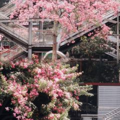 小康生活(碧水花城店) User Photo