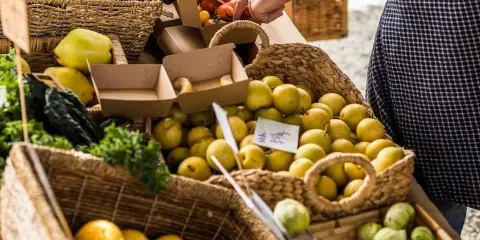 Willie Smith's Apple Shed