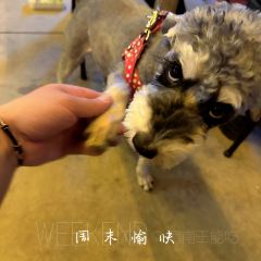 千斤串串(渭南义乌国际商贸城店) User Photo