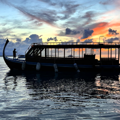 Sunset Pool Café User Photo