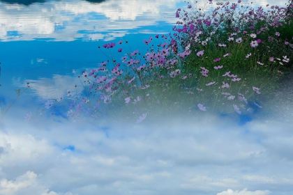 Shuxiangyuan Firewood chicken (Lugu Lake )