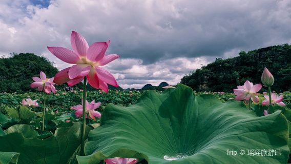 Baihua Valley Scenic Area