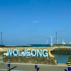 Mongle Woljeong-ri 여행 사진