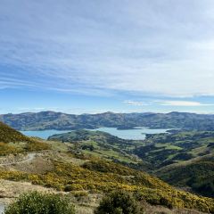 Akaroa Fish & Chips User Photo
