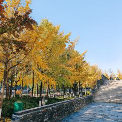 麥當勞（常州西瀛裡店）張用戶圖片