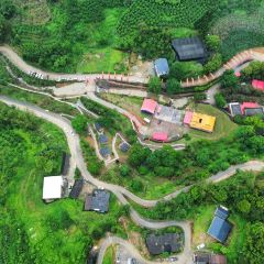 南坑咖啡观赏园 User Photo
