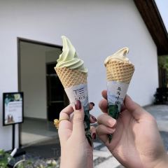 T三峰林茶谷野奢帐篷营地·T三茶宴 User Photo