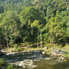 Rimba By Dking ( Durian & Restaurant ) User Photo