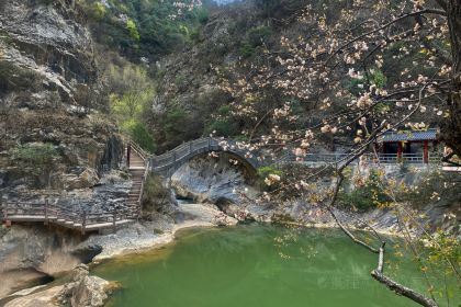 陇原·西域烤肉(东江店)