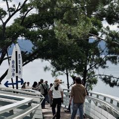 抚仙湖·自在汐岸咖啡餐吧 User Photo