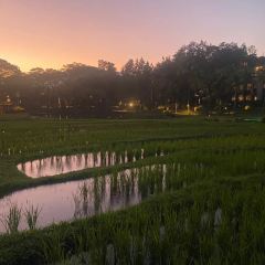 KHAO by Four Seasons User Photo