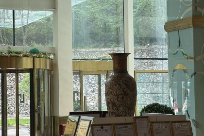 Se'ercuoguojidajiudianzhong Restaurant