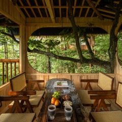 一山树屋咖啡营地 User Photo