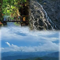 王阿姨梅花糕 User Photo