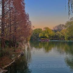 Lxiu Xiao Mang User Photo