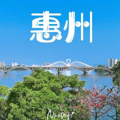 XING JI SUGAR CANE ICE User Photo