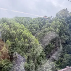 棣爸油炸 User Photo