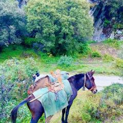 Hot pot of Tibetan User Photo
