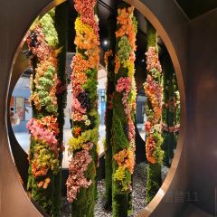 黛外滩(外滩店) User Photo