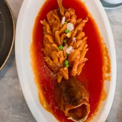 SUPER MAO User Photo