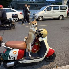 二子蒲包肉 여행 사진