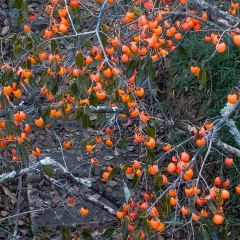 拾光餐集(东壁村店) User Photo