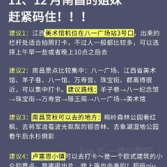 陳記手工綠豆餅（珠寶街店）張用戶圖片