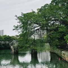 Qiushengjianbao User Photo