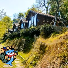 阿浪山庄 User Photo