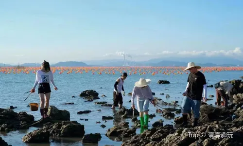Beachcombing in Nan'ao Island