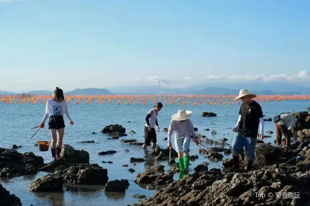 Beachcombing in Nan'ao Island