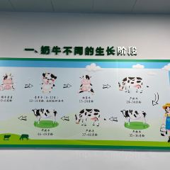 西江乳业(西江农场店) User Photo