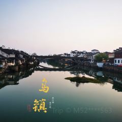 THE FOREST LIVE MUSIC 여행 사진