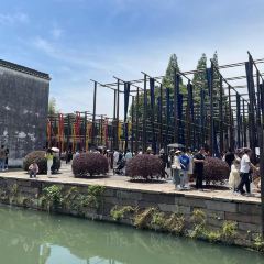 THE FOREST LIVE MUSIC 여행 사진