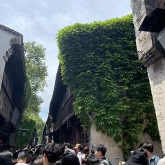 THE FOREST LIVE MUSIC 여행 사진