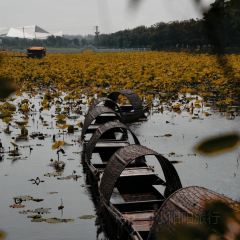 杨五龙虾(兰亭熙园店) 여행 사진