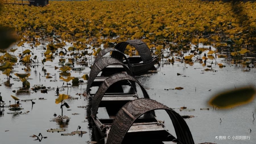 杨五龙虾(兰亭熙园店)