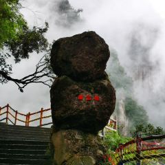 莽山天台山美食 User Photo