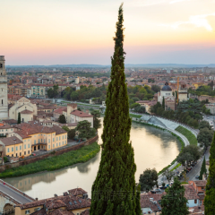 Gelateria Dondoli張用戶圖片