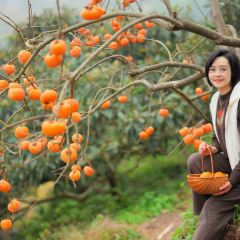 宝马生态农庄·柴火鸡(宝马店) User Photo