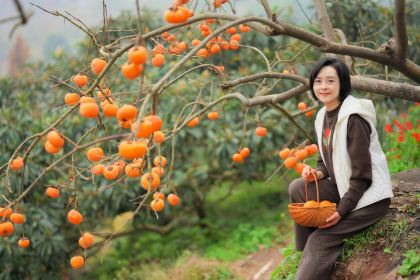 宝马生态农庄·柴火鸡(宝马店)