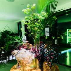 MOREE•莫瑞法式花園（橋東店）張用戶圖片