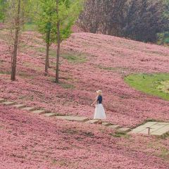 青枫浦餐厅 User Photo